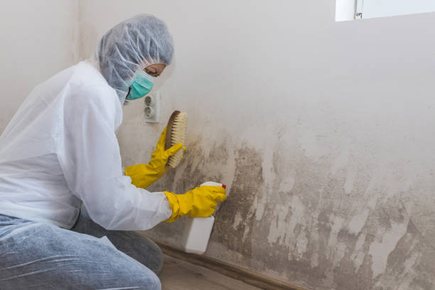 Best Mold Testing  in Carleton, MI