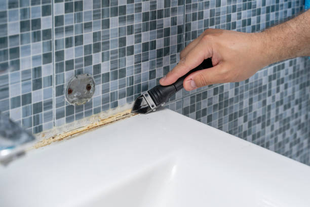Reliable Carleton, MI Mold Removal Solutions