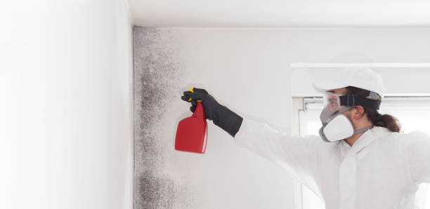 Best Fast Mold Removal  in Carleton, MI