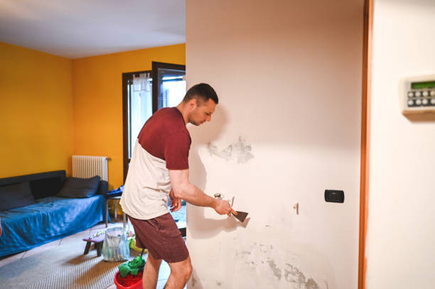 Best Toxic Mold Removal  in Carleton, MI